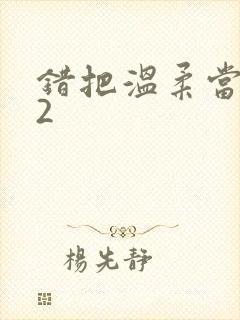 错把温柔当情深2