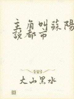 主角叫苏阳的小说都市