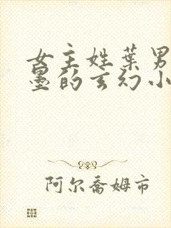 女主姓叶男主姓墨的玄幻小说