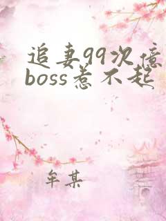 追妻99次亿万boss惹不起