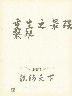 重生之最强召唤系统