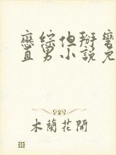 恋综但掰弯恐同直男小说免费