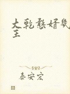 大乾憨婿几个女主