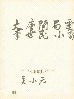 大唐开局震惊了李世民 小说