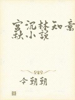 宫沉林知意宋婉秋小说
