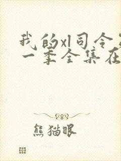 我的xl司令第一季全集在线观看完整版免费