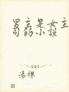 男主是女主的上司的小说