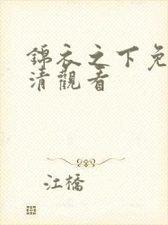 锦衣之下免费高清观看