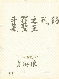 斗罗之我的武魂是圣主