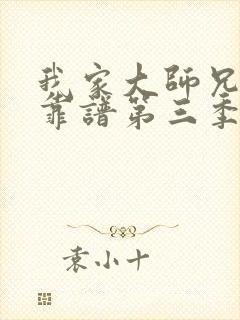 我家大师兄有点靠谱第三季