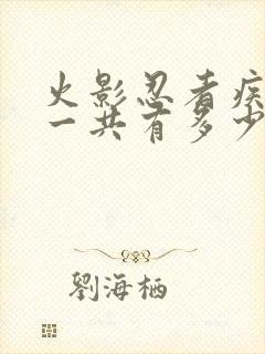 火影忍者疾风传一共有多少集