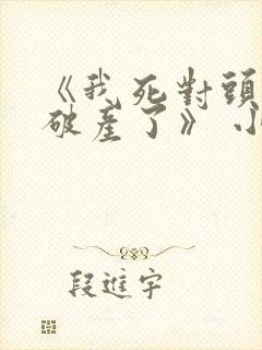 《我死对头终于破产了》 小说