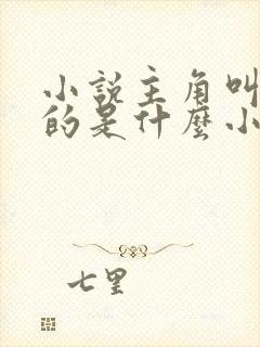 小说主角叫宁尘的是什么小说