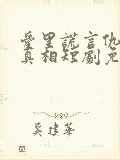 爱里谎言仇恨的真相短剧免费观看