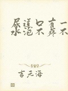 尿道口有一个小水泡不疼不痒