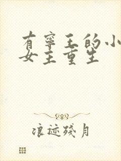 有宁王的小说且女主重生