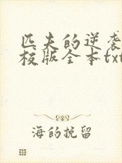 匹夫的逆袭 精校版全本txt