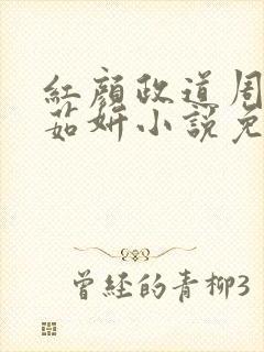 红颜政道周平丁茹妍小说免费阅读