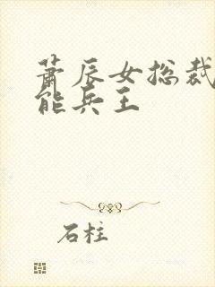 萧辰女总裁的全能兵王