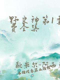 野良神第1季免费全集