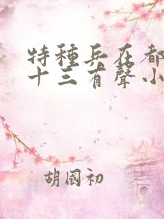 特种兵在都市夜十三有声小说原声