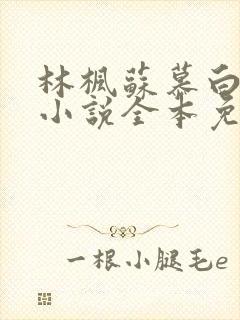 林枫苏慕白穿越小说全本免费阅读无弹窗