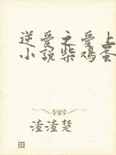 逆爱之爱上情敌小说柴鸡蛋免费阅读