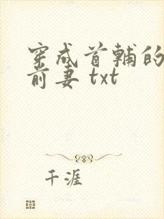 穿成首辅的炮灰前妻 txt