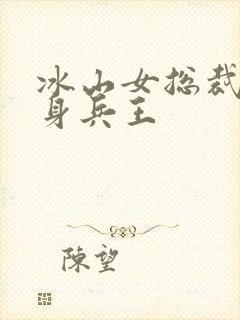 冰山女总裁的贴身兵王