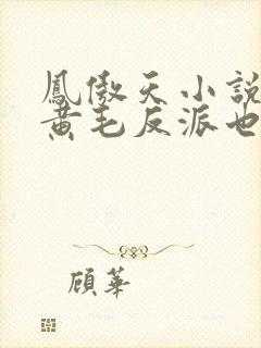 凤傲天小说里的黄毛反派也想要幸福漫画