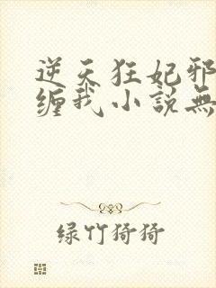 逆天狂妃邪王别缠我小说无弹窗