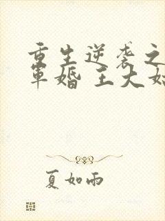 重生逆袭之头号军婚 王大姑娘