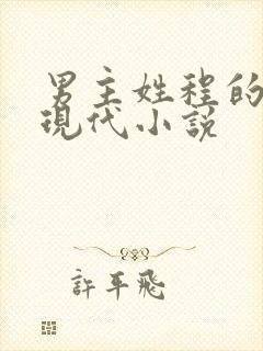 男主姓程的甜宠现代小说