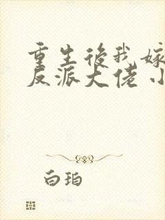 重生后我嫁给了反派大佬 小说