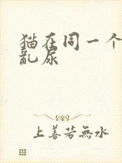 猫在同一个地方乱尿