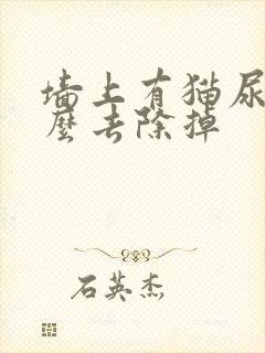 墙上有猫尿味怎么去除掉