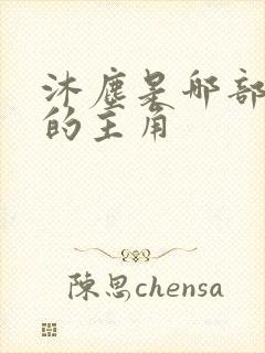 沐尘是哪部小说的主角