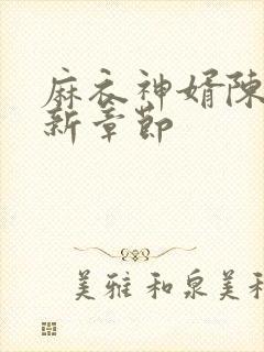 麻衣神婿陈黄皮新章节