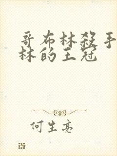 哥布林杀手哥布林的王冠