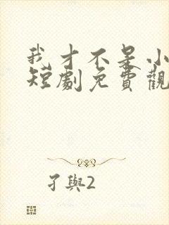 我才不是小可怜短剧免费观看全集