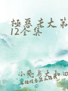 极恶老大第二季12全集
