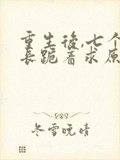 重生后,七个兄长跪着求原谅txt下载