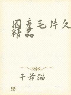 国产毛片久久久精品