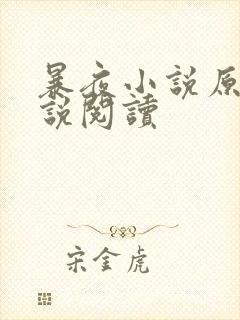 暴夜小说原著小说阅读