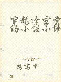 穿越冷宫当太监的小说小棒子