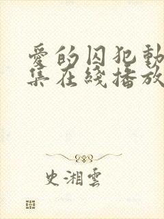 爱的囚犯动漫全集在线播放免费观看