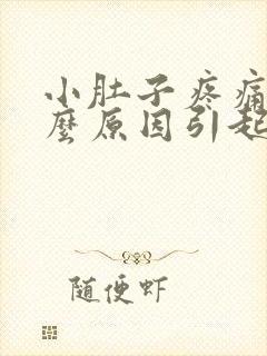 小肚子疼痛是什么原因引起的