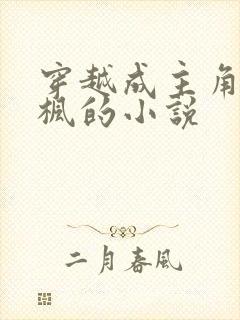 穿越成主角叫叶枫的小说