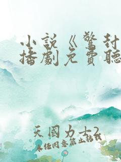 小说《惊封》广播剧免费听