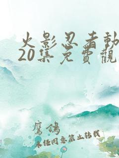 火影忍者动画720集免费观看